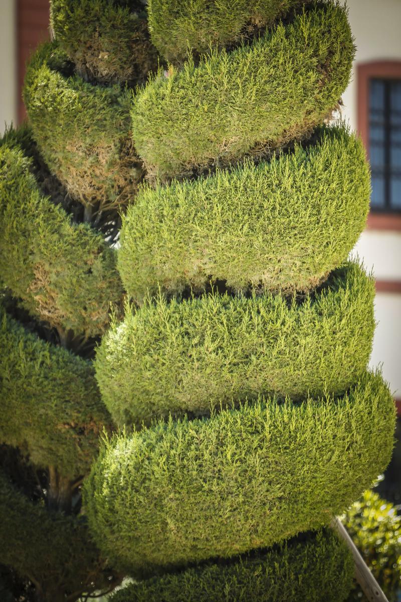 Turismo - Ayuntamiento de Cádiz  Parque Genovés - Jardín 